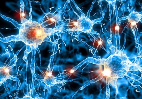 Komórki nerwowe mózgu