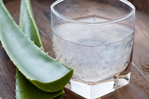 Aloes i szklanka wody