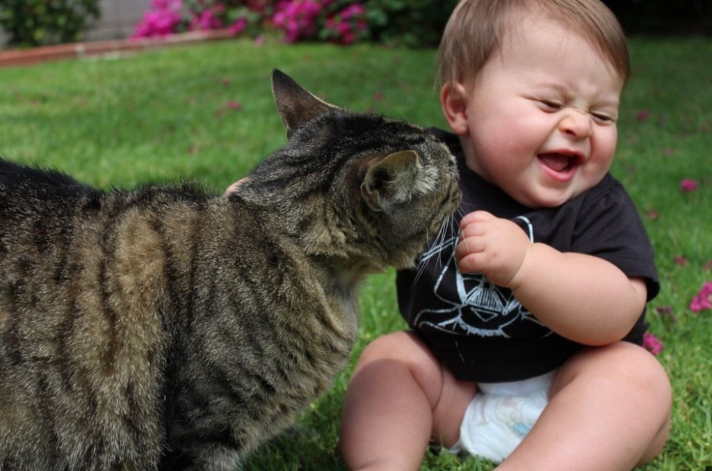 dziecko z kotem