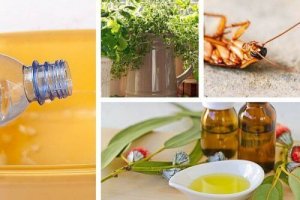 Trutki na szkodniki - 5 naturalnych propozycji