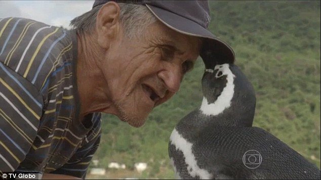 Joao i Dindim