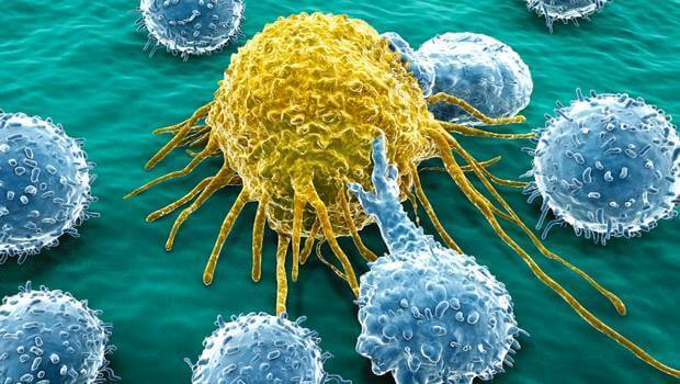 Nowotwór - Komórka rakowa