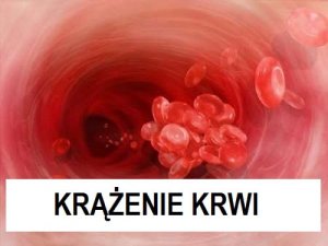 Krążenie krwi - naturalne remedia