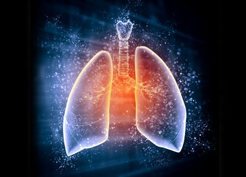 wpływ czosnku na płuca