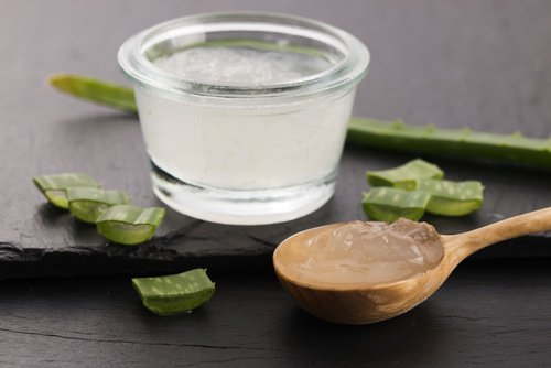 Aloes