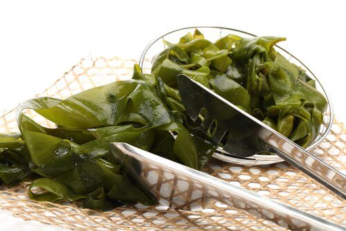 Algi czyli spirulina