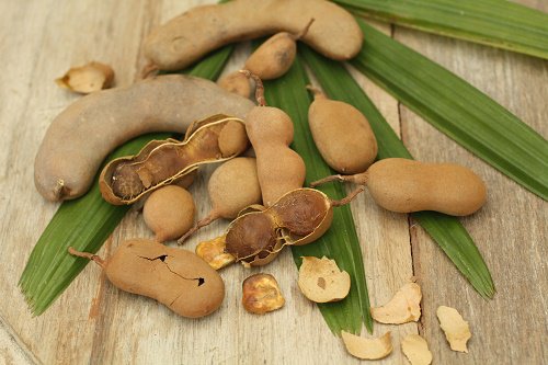 Tamarindo - owoce tamaryndowca