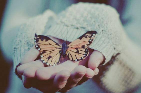 Motyl na dłoni