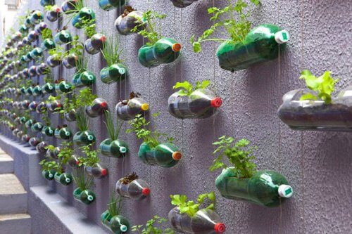 Plastikowe butelki na ścianie w formie doniczek