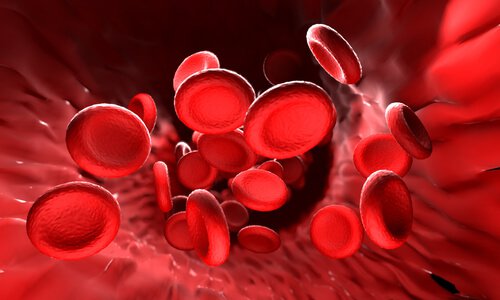 Czerwone krwinki - skrzepy krwi podczas okresu