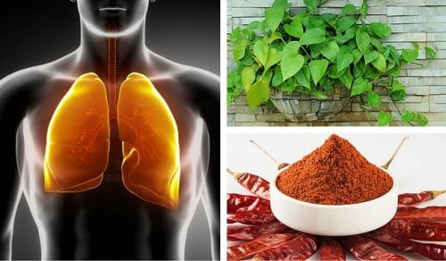 Płuca i oskrzela — jak je oczyścić w naturalny sposób?