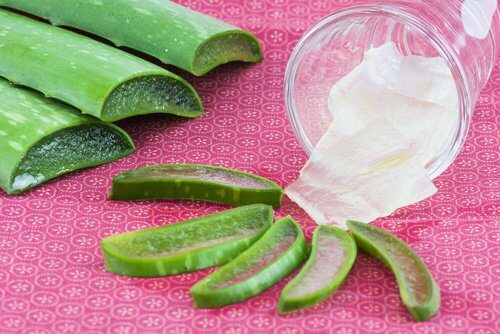 Aloes