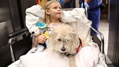 szpital - dziewczynka i pies