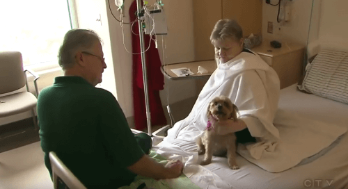 szpital - odwiedziny pupila
