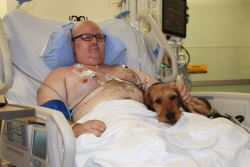 pies w szpitalnym łóżku ze swoim panem