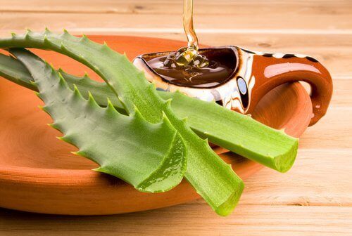 Aloes i miód