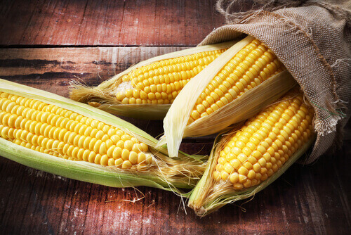 Kukurydza i znamiona kukurydzy