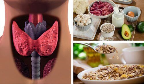 Niedoczynność tarczycy – 5 produktów na szybszy metabolizm Niedoczynność tarczycy – 5 produktów na szybszy metabolizm
