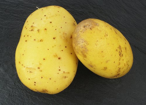 Nieobrane ziemniaki