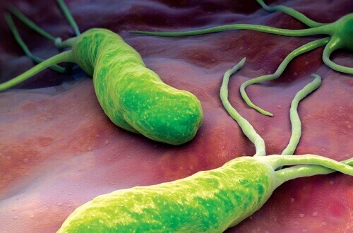 Bakterie w ciele człowieka