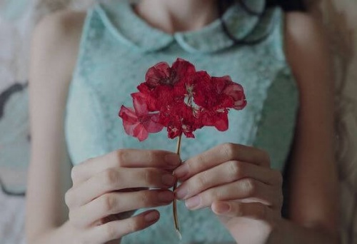 Kwiatek w dłoniach