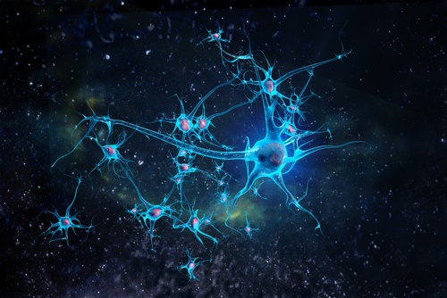 Neurony