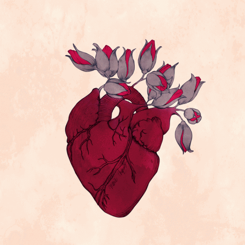 Serce kwiat