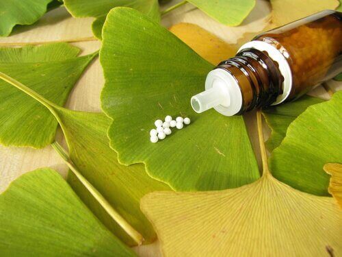 herbata z ginkgo biloba