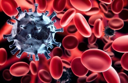 Czerwone krwionki i komórki odpornościowe