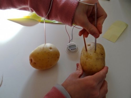 prąd z ziemniaka 2