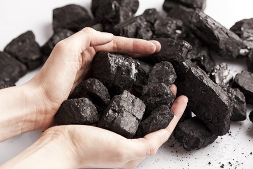 Węgiel – 7 niezwykłych zastosowań w domu