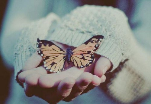 Motyl w garści
