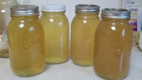 kombucha