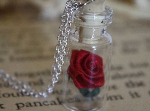 Róża w butelce