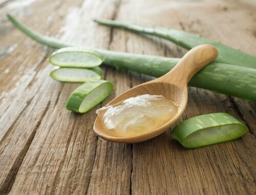Aloes