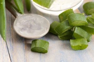 Aloes: poznaj wielkie korzyści jego zamrożenia