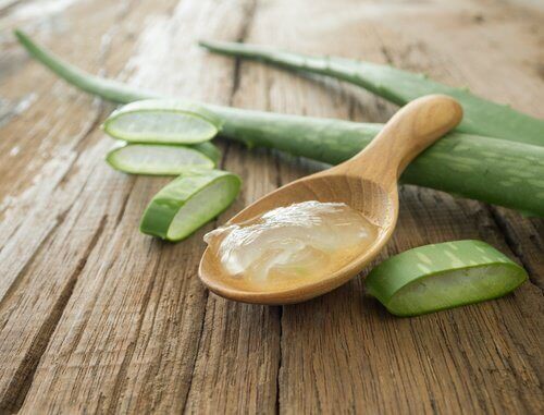Aloes