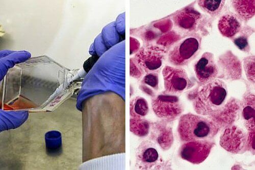 Badania laboratoryjne