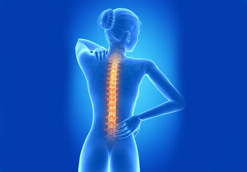 kręgosłup