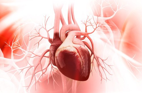 Serce - 8 złych nawyków, które mogą je uszkodzić