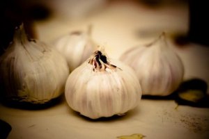 Ząbek czosnku na czczo – zdrowie gwarantowane!