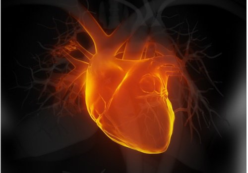 Niewydolność serca – przedwczesne symptomy