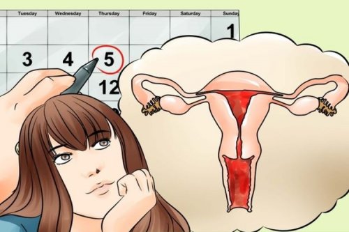 Cykl menstruacyjny kobiety