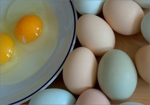 jajka a zdrowie