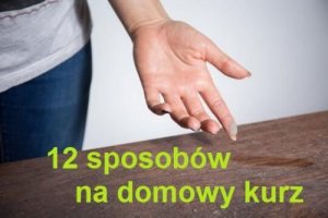 Kurz w Twoim domu – 12 sposobów, by się go pozbyć