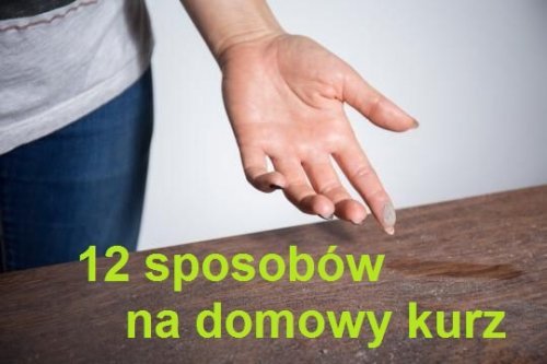 Kurz w Twoim domu – 12 sposobów, by się go pozbyć