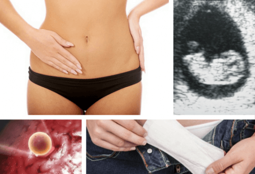 Miesiączka – z jakiego powodu pojawia się dwa razy w miesiącu? Miesiączka – z jakiego powodu pojawia się dwa razy w miesiącu?