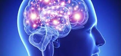 Neurony w mózgu