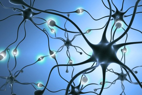 neurony