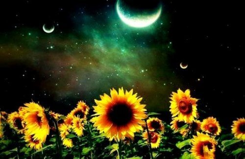 Materialne skarby nie są nic warte bez cennych więzi emocjonalnych